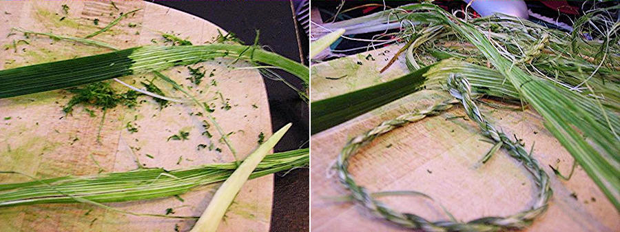 Tough-leaf iris fibers used for cordage